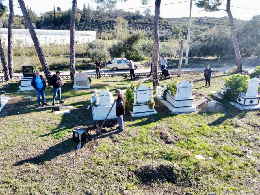 Büyük Manavgat Yangınında Küle Dönen Mezarlığın Ağaçları Yeniden Yeşerecek