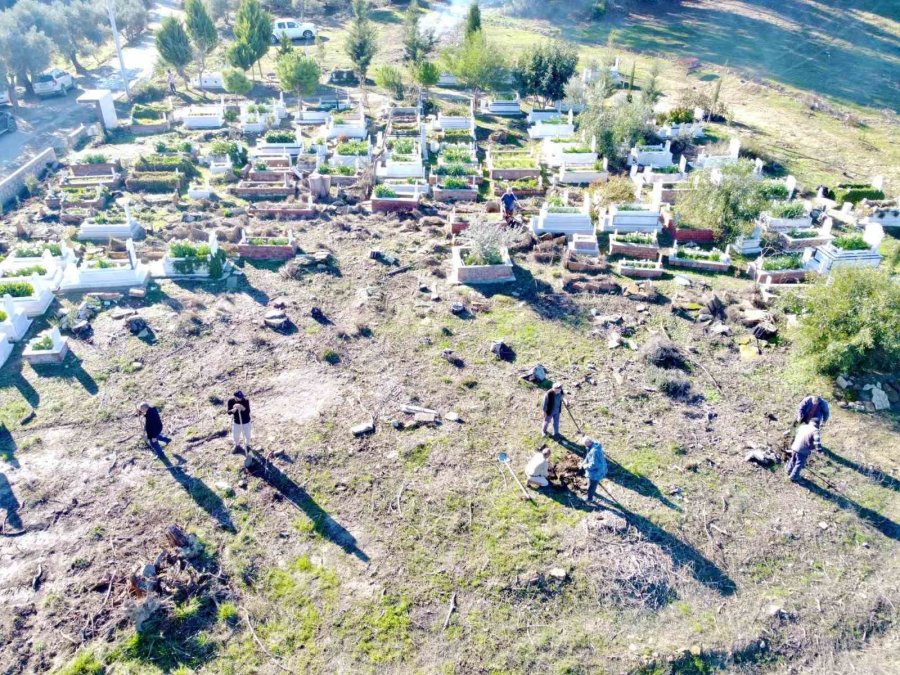 Büyük Manavgat Yangınında Küle Dönen Mezarlığın Ağaçları Yeniden Yeşerecek