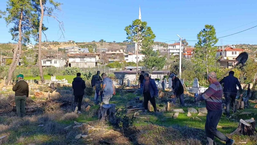 Büyük Manavgat Yangınında Küle Dönen Mezarlığın Ağaçları Yeniden Yeşerecek