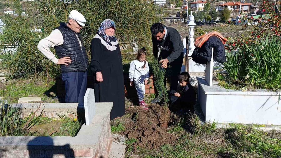 Büyük Manavgat Yangınında Küle Dönen Mezarlığın Ağaçları Yeniden Yeşerecek