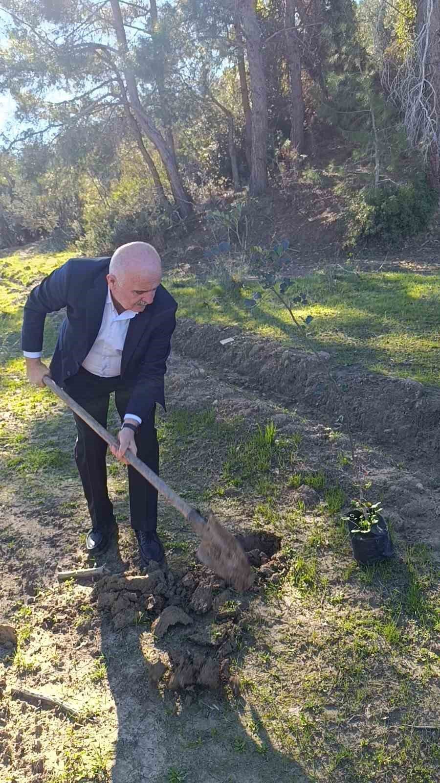 Büyük Manavgat Yangınında Küle Dönen Mezarlığın Ağaçları Yeniden Yeşerecek