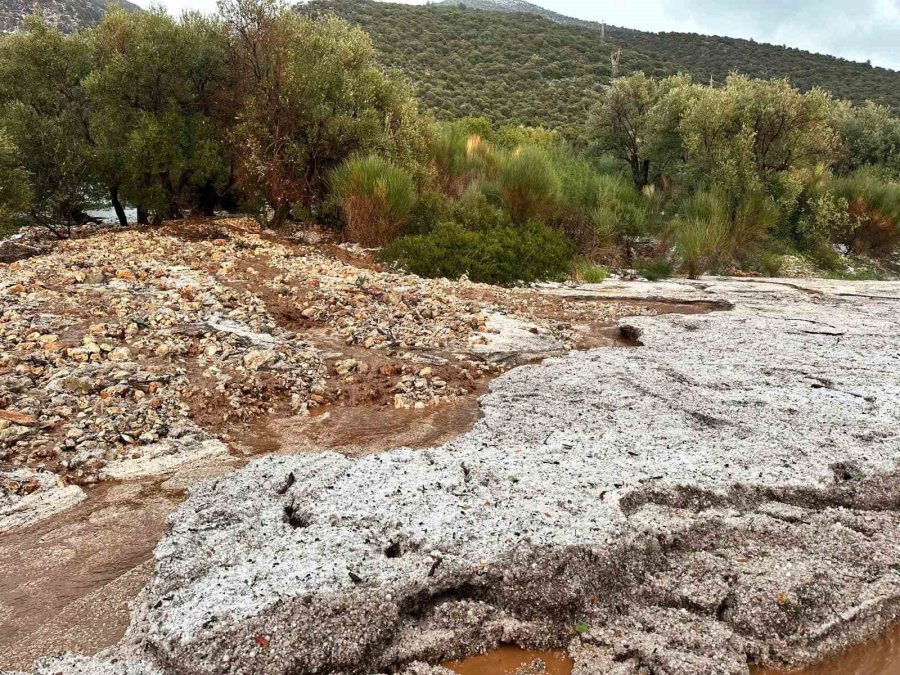 Körfez Çamur Rengine Döndü, Dolu Yağışı Seralara Zarar Verdi