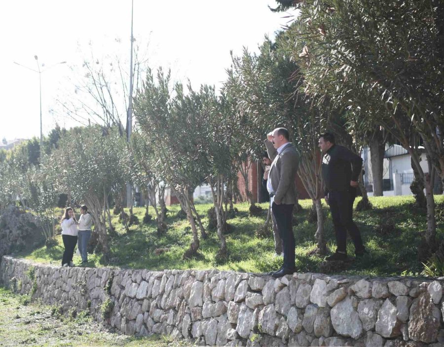 Konyaaltı Belediye Başkanı Cem Kotan, Vatandaşın Sorun Ve Taleplerini Dinledi