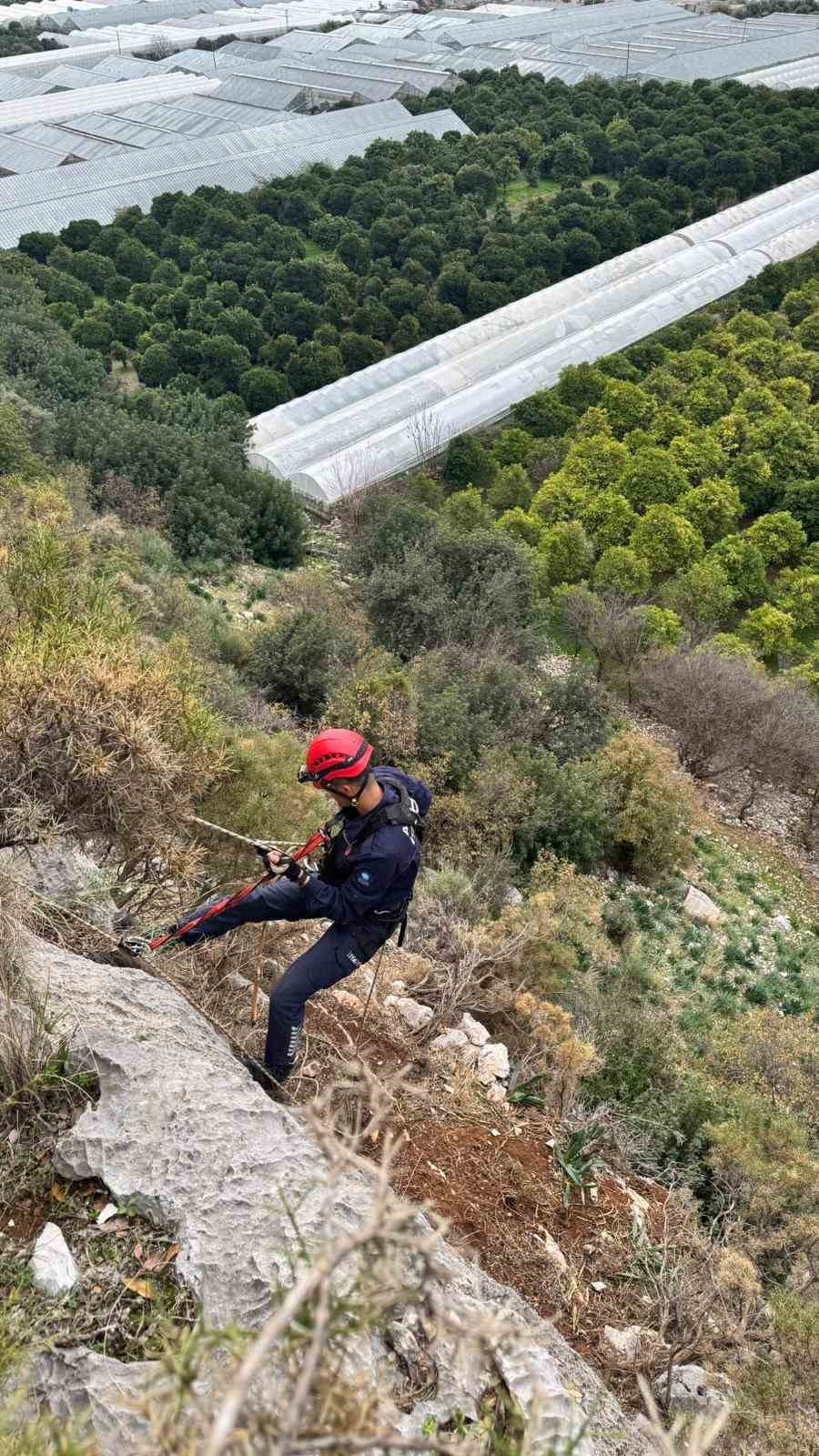 Demre’de 300 Metrede 3 Gündür Mahsur Kalan Keçi Operasyonla Kurtarıldı