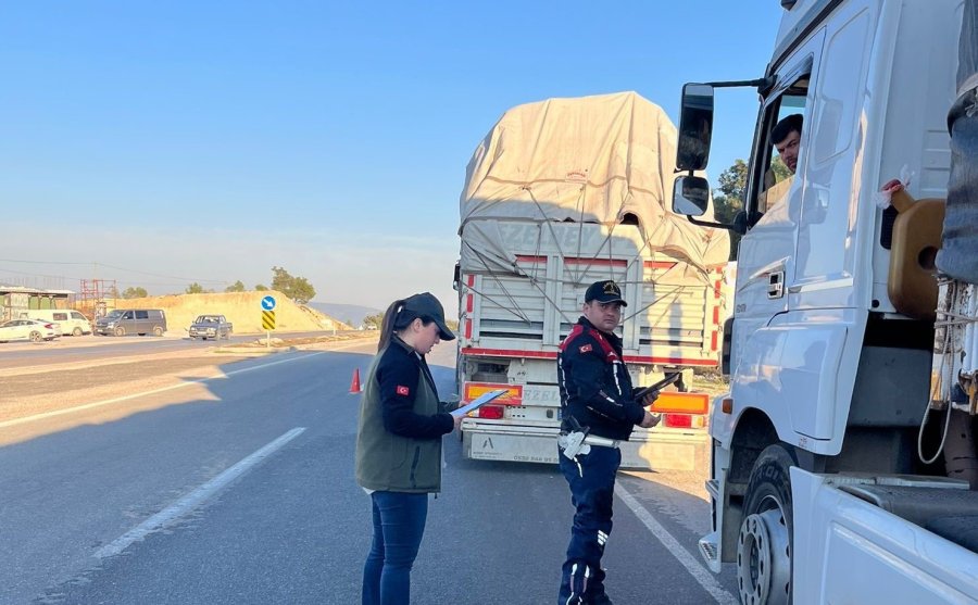 Mersin’de Ormanlık Alanlarda Önleme Aramaları Sürüyor