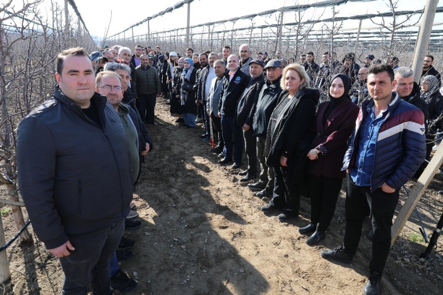 Niğde’de ’meyve Ağacı Budama Eğitimi’ Düzenlendi