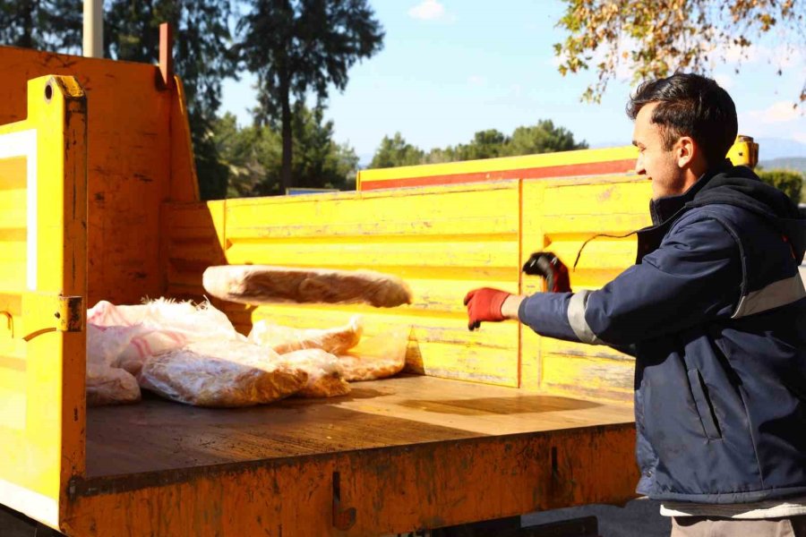 Şanlıurfa’dan Antalya’ya Otobüsle Gönderilen 300 Kilogram Sakatata El Konuldu