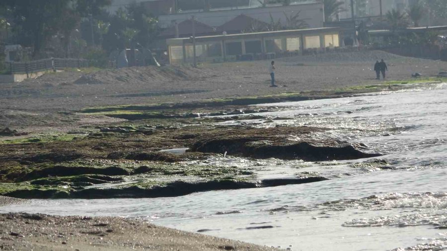 Alanya’da Deniz Suyu 7-8 Metre Çekildi