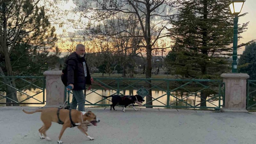 Depremde Kızını Kaybeden Baba Hayvan Sevgisiyle Hayata Tutunuyor