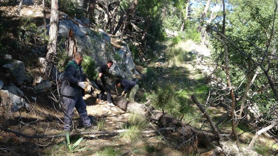 Antalya’daki Orman Yangını Kontrol Altına Alındı, 2 Hektar Alan Zarar Gördü