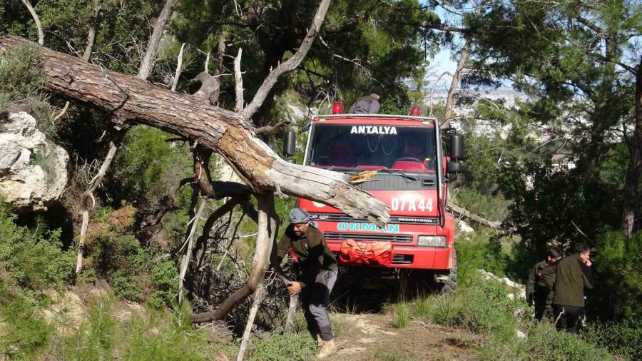 Antalya’daki Orman Yangını Kontrol Altına Alındı, 2 Hektar Alan Zarar Gördü