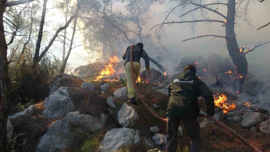 Antalya’da Kopan Yüksek Gerilim Hattı Orman Yangınına Neden Oldu