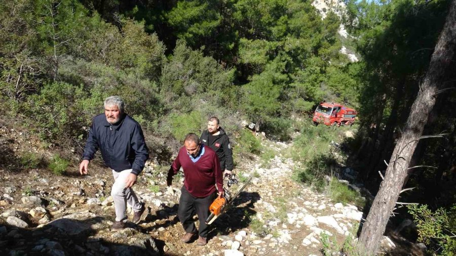 Antalya’da Kopan Yüksek Gerilim Hattı Orman Yangınına Neden Oldu