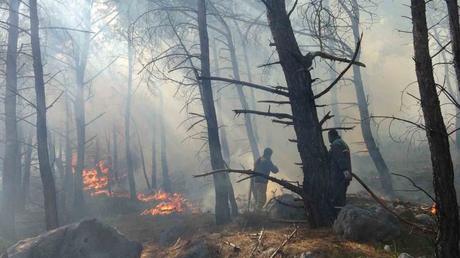 Antalya’da Kopan Yüksek Gerilim Hattı Orman Yangınına Neden Oldu