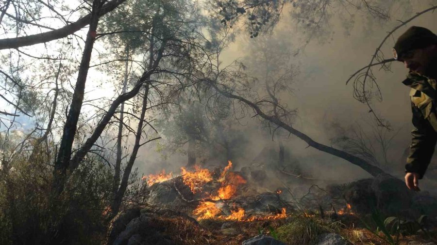 Antalya’da Kopan Yüksek Gerilim Hattı Orman Yangınına Neden Oldu