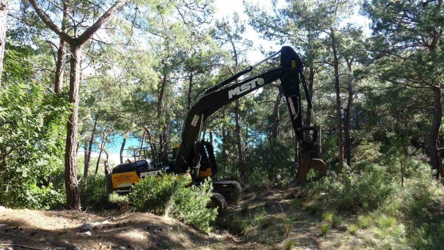 Antalya’da Kopan Yüksek Gerilim Hattı Orman Yangınına Neden Oldu