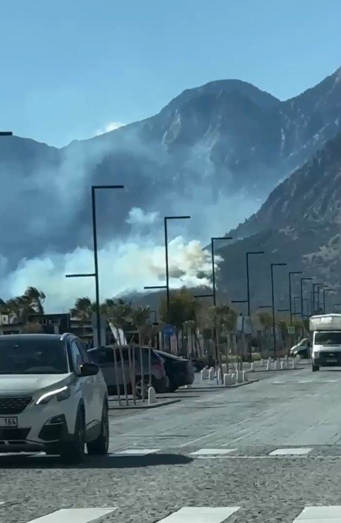 Antalya’da Orman Yangını