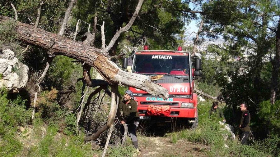 Antalya’da Kopan Yüksek Gerilim Hattı Orman Yangınına Neden Oldu