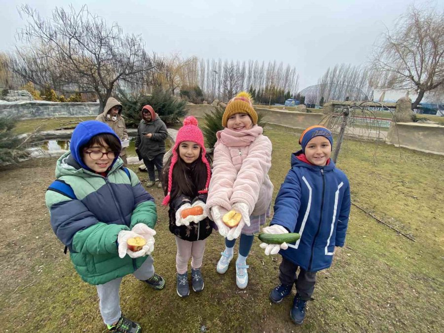 Hayvanat Bahçesi Minik Misafirlerini Ağırladı