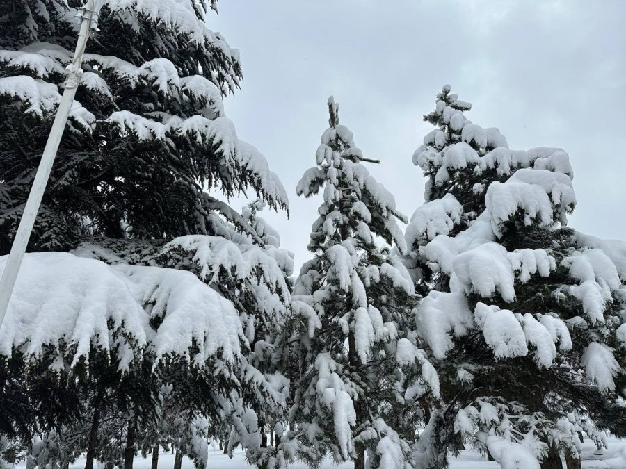 Kayseri’de Kar Yağışı Devam Edecek