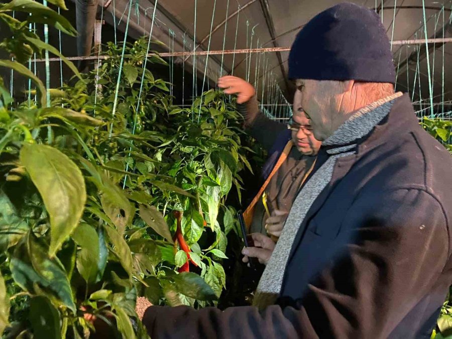 Antalya’da Sıcaklık Gece Sıfırın Altına Düştü, Seralarda ’zirai Don’ Nöbeti Başladı