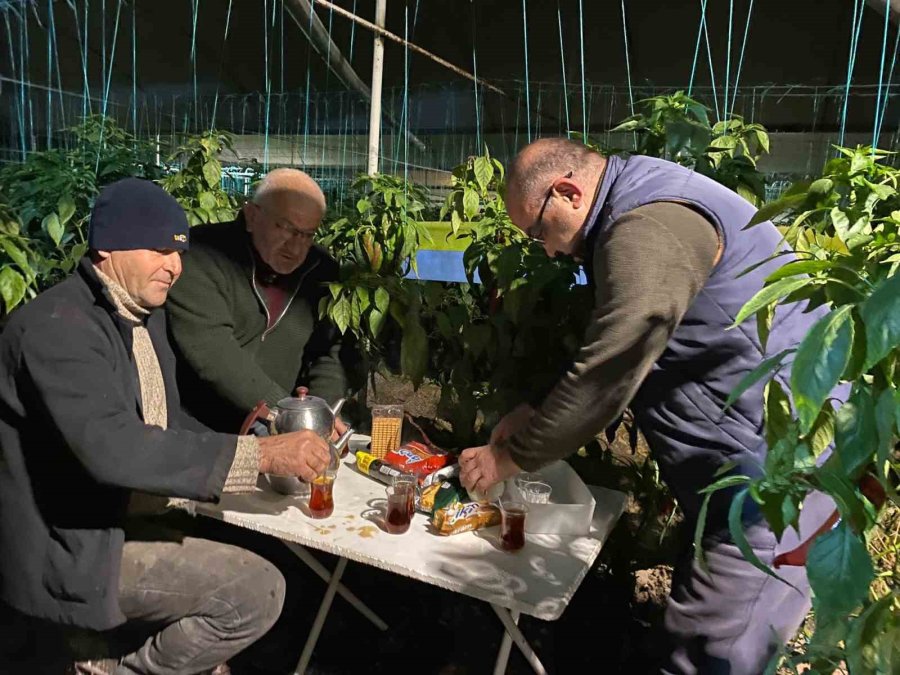 Antalya’da Sıcaklık Gece Sıfırın Altına Düştü, Seralarda ’zirai Don’ Nöbeti Başladı