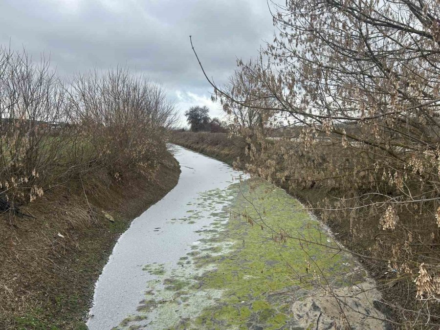 Eskişehir’de Sulama Kanalları Buz Tuttu