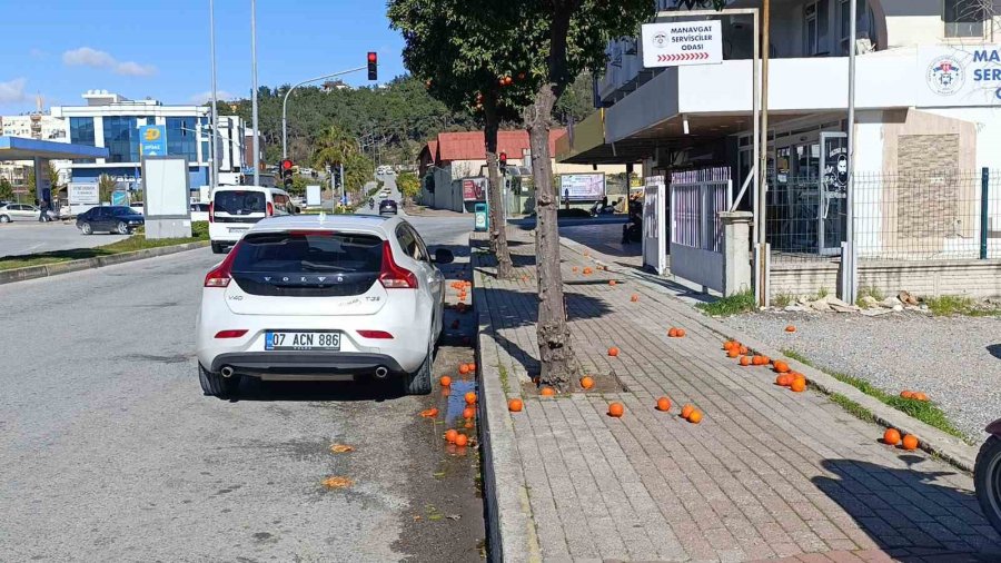 Antalya’da Şiddetli Fırtına Turunçları Dallarından Koparıp Yola Savurdu