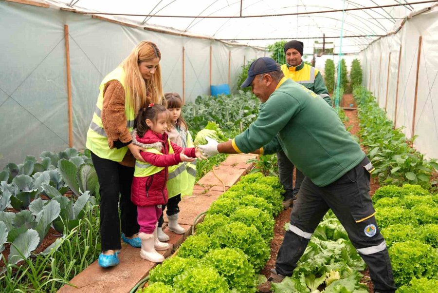 Çocuklar, Serada Yetiştirdikleri Ürünleri Hasat Etti