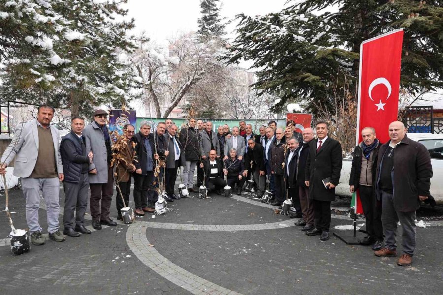 Başkan Yalçın’dan Muhtarlara Kestane Fidanı