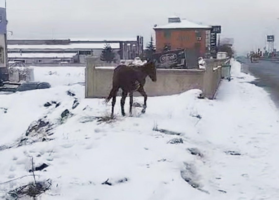 Kayseri Osb İtfaiyesi Bataklığa Saplanan Yılkı Atını Kurtardı