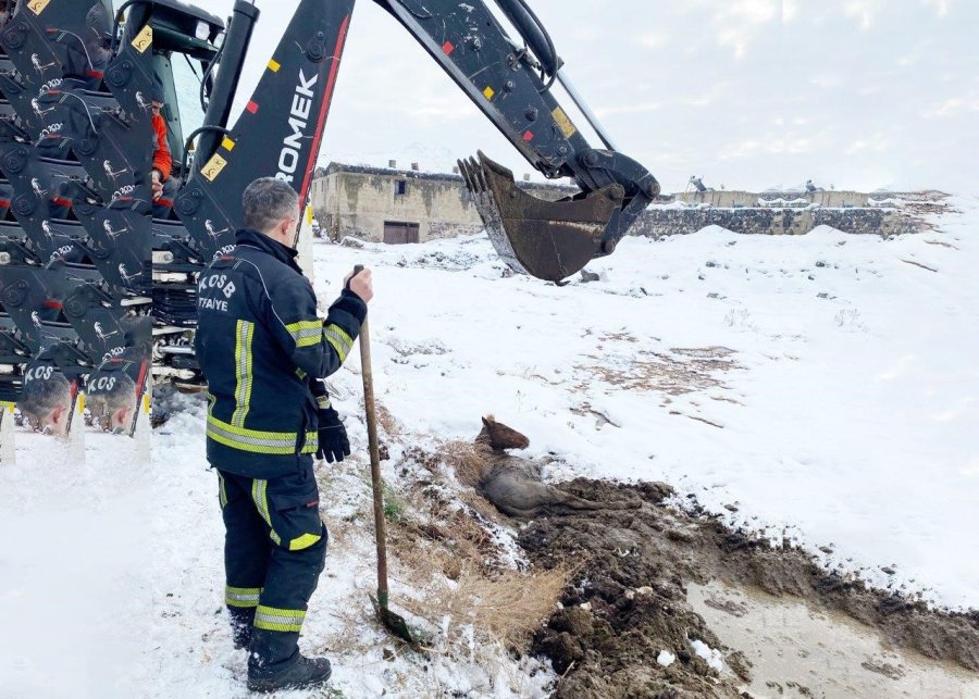 Kayseri Osb İtfaiyesi Bataklığa Saplanan Yılkı Atını Kurtardı