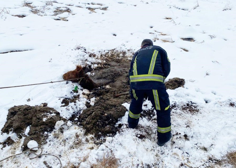 Kayseri Osb İtfaiyesi Bataklığa Saplanan Yılkı Atını Kurtardı