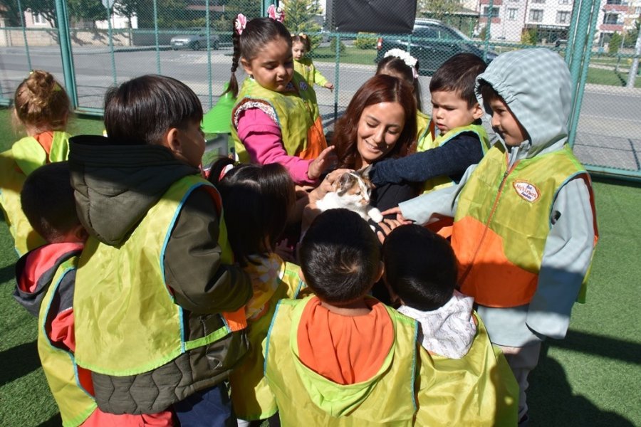 Kayseri’de İlk Olan Küçük Dostlar Kedi Kasabası’na Rekor Ziyaret