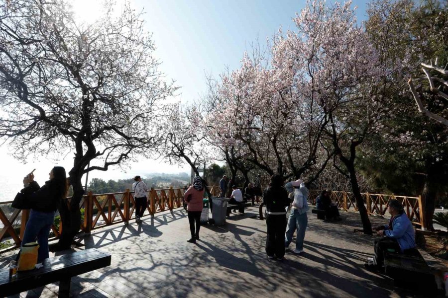 Antalya Şubatta Baharı Yaşadı