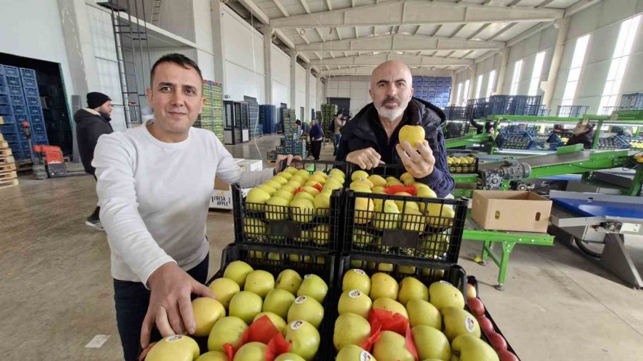 Elma Fiyatını Maliyetler Yükseltiyor