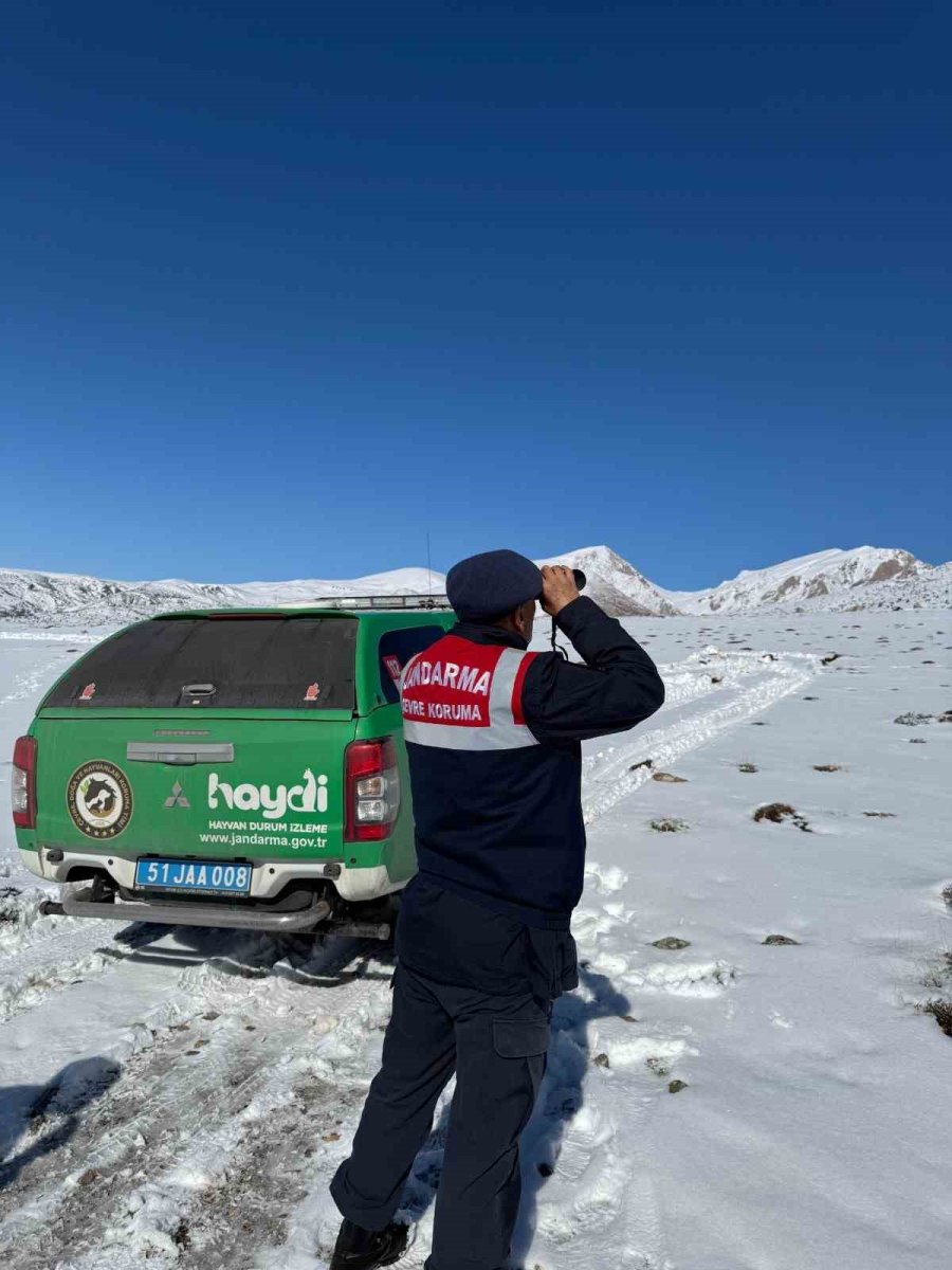 Niğde’de Yaban Hayvanları İçin Doğaya Yem Bırakıldı