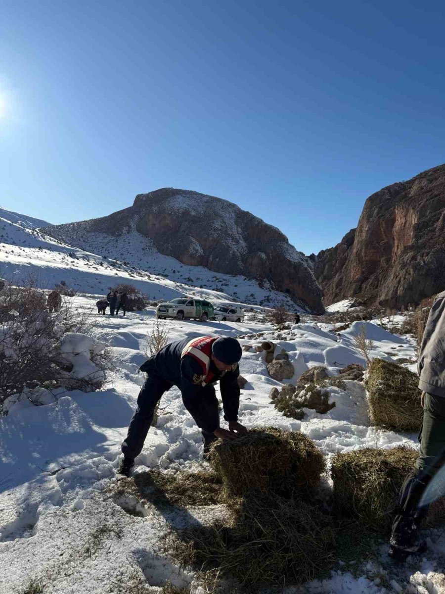 Niğde’de Yaban Hayvanları İçin Doğaya Yem Bırakıldı