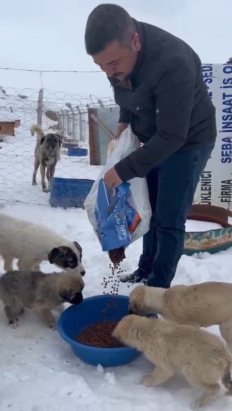 Çiftlik Belediyesi Patili Dostları Unutmadı