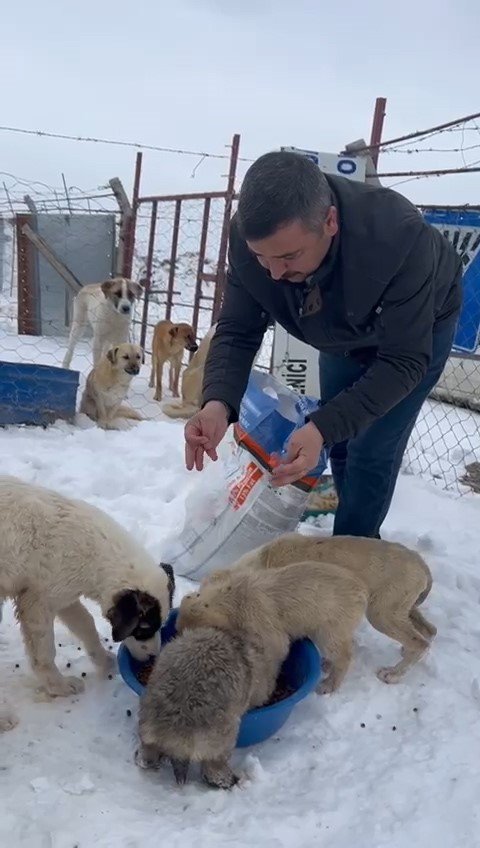 Çiftlik Belediyesi Patili Dostları Unutmadı