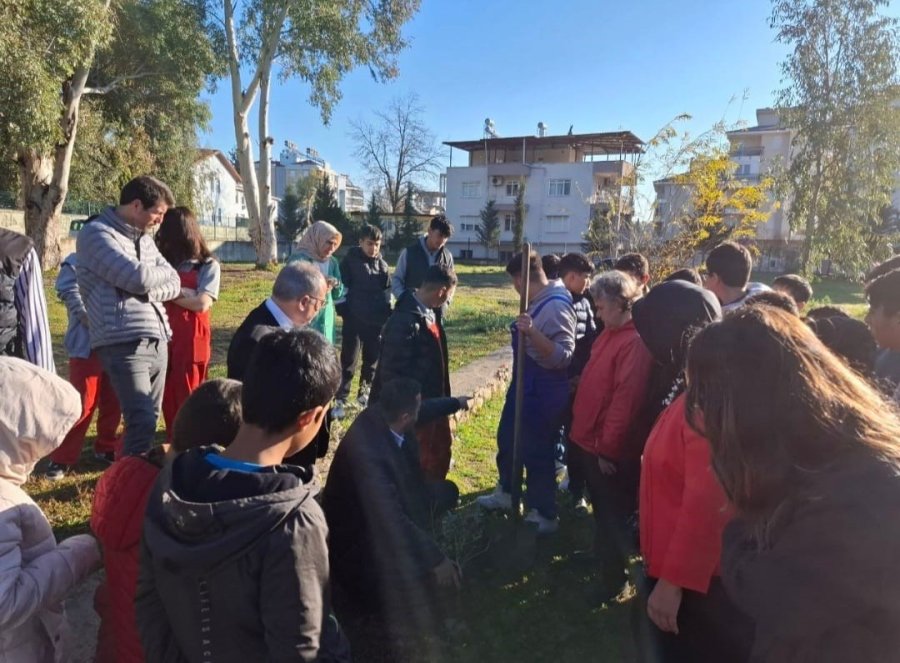 Aksu’da Öğrenciler Zeytin Fidanı Dikti