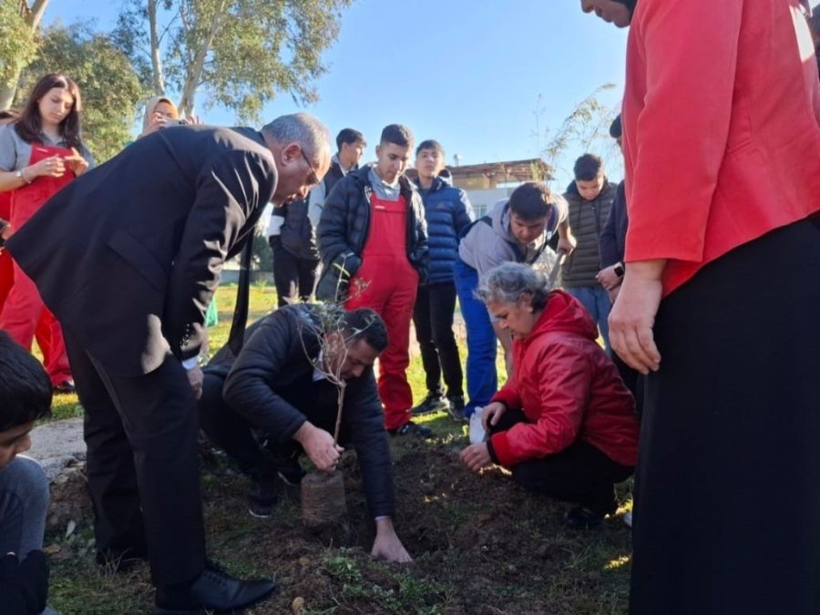 Aksu’da Öğrenciler Zeytin Fidanı Dikti