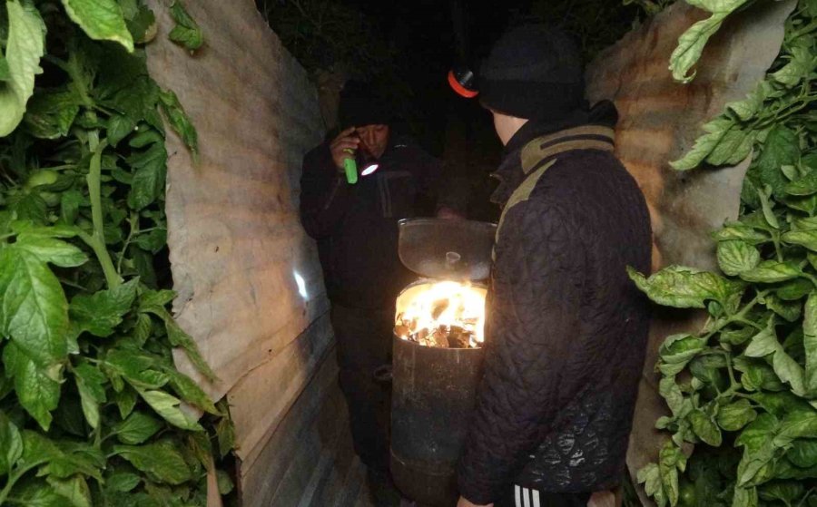 Türkiye’nin Örtü Altı Üretim Merkezi Mersin’de Zirai Don Nöbeti Başladı