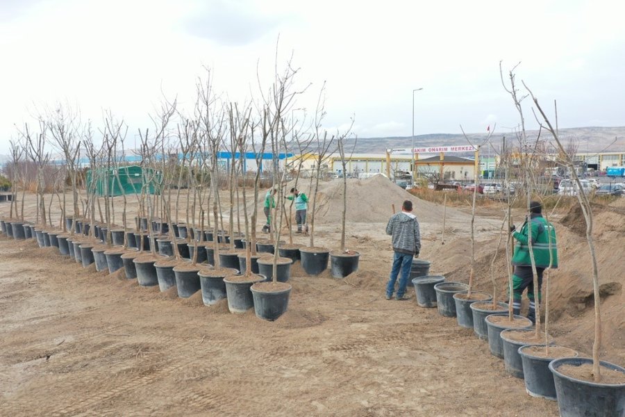 Kayseri’nin Yeşil Örtüsü Kocasinan’da Filizleniyor