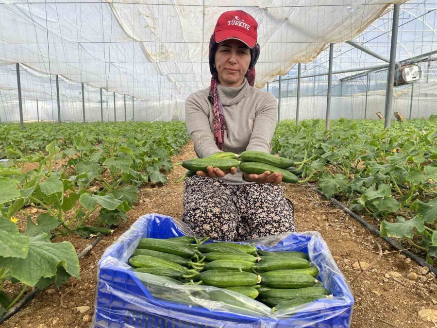 Kadın Üreticilerin Meşakkatli Zirai Don Nöbeti