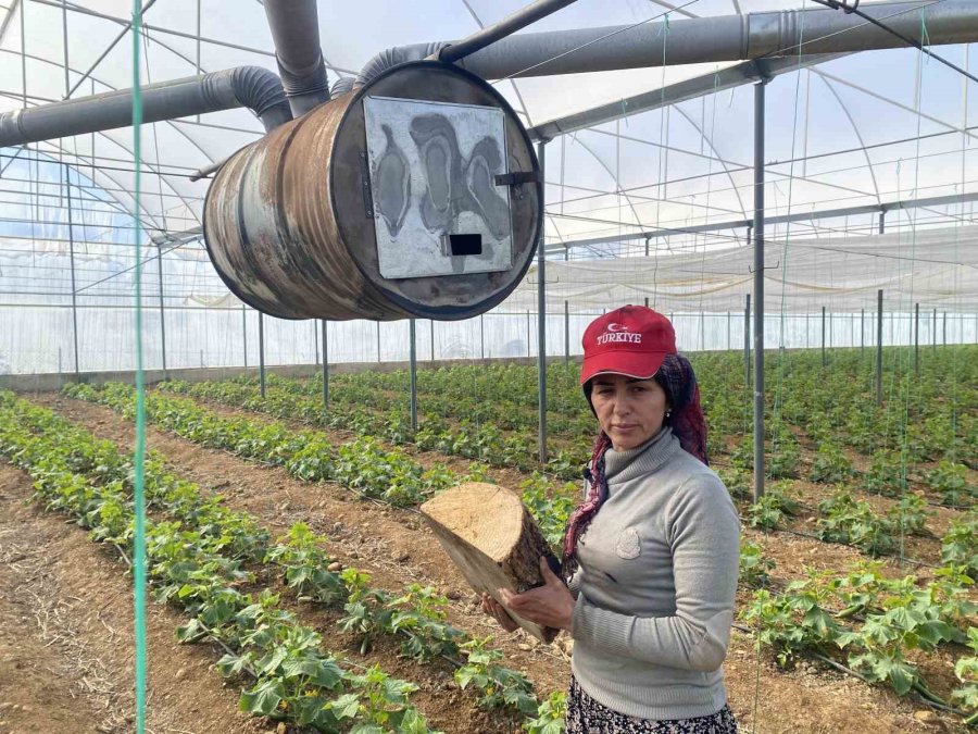 Kadın Üreticilerin Meşakkatli Zirai Don Nöbeti