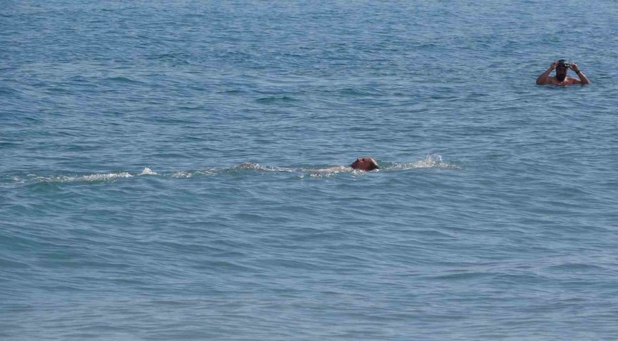 Sibirya Soğukları Onları Etkilemedi, Kış Günü Deniz Keyfi