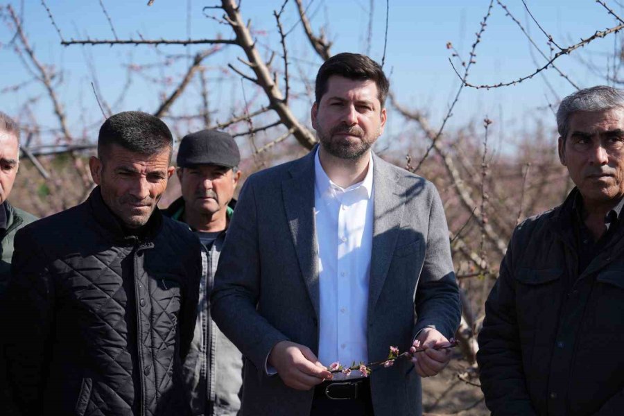 Tarsus’ta Dondan Zarar Gören Bölgelerin Afet Bölgesi İlan Edilmesi Talebi