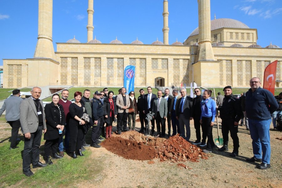 Akdeniz’de Güzel Sanatlar Sempozyumu Ve Kültür Sanat Çalıştayı