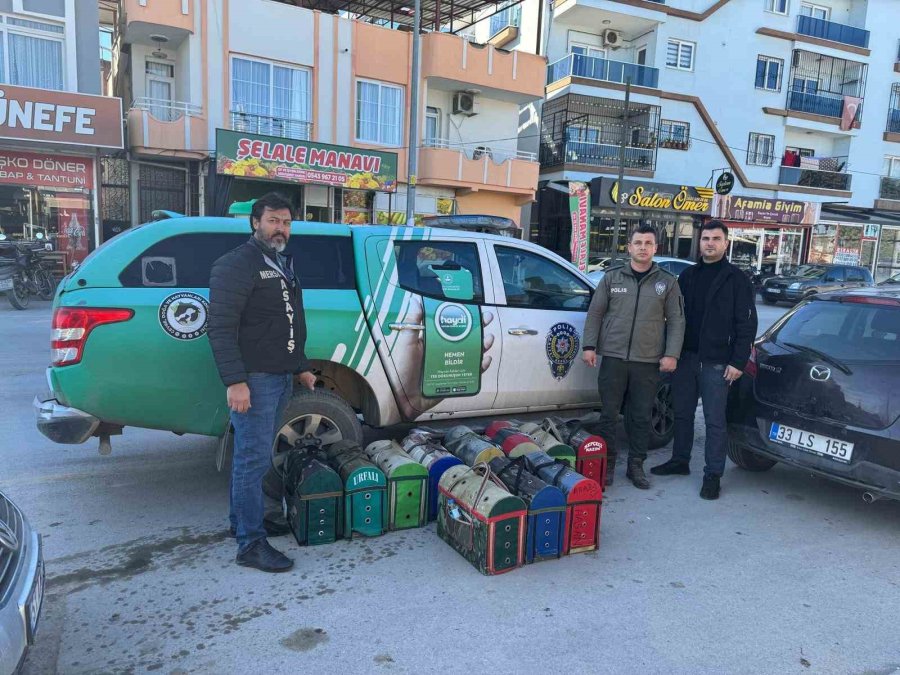 Mersin’de Horoz Dövüşü Üzerinden Bahis Oynatanlara Operasyon